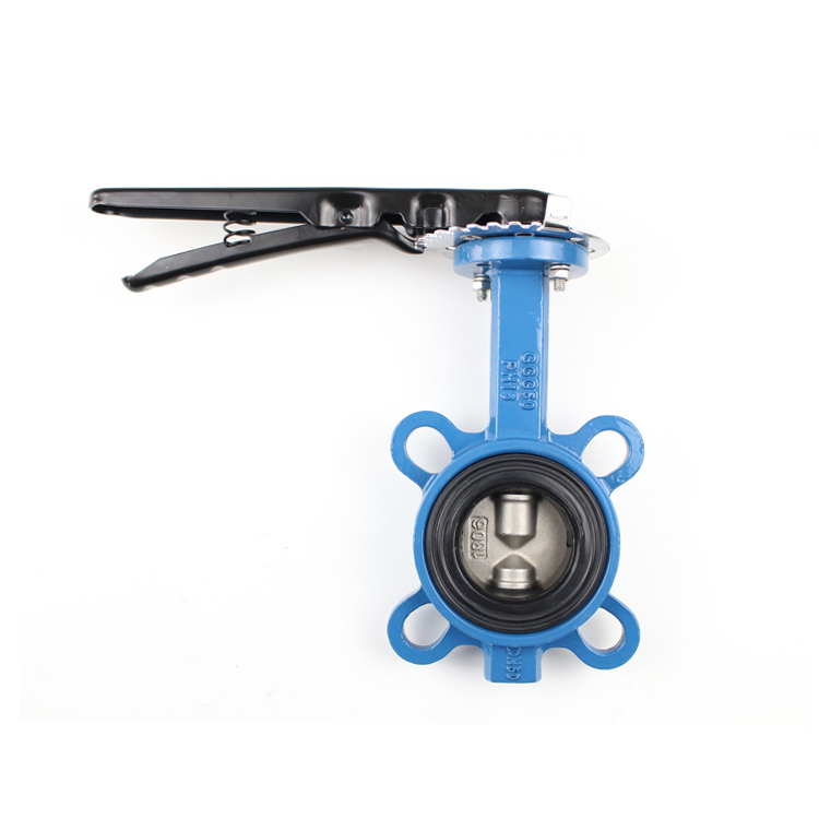 Double Shaft Butterfly Valve