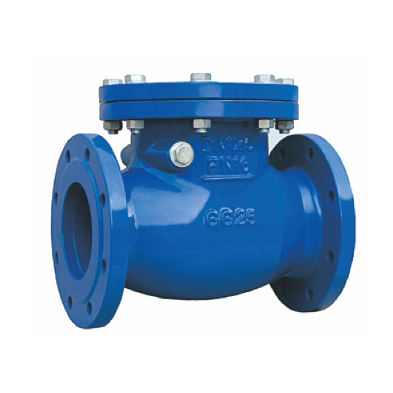 Swing Check Valve