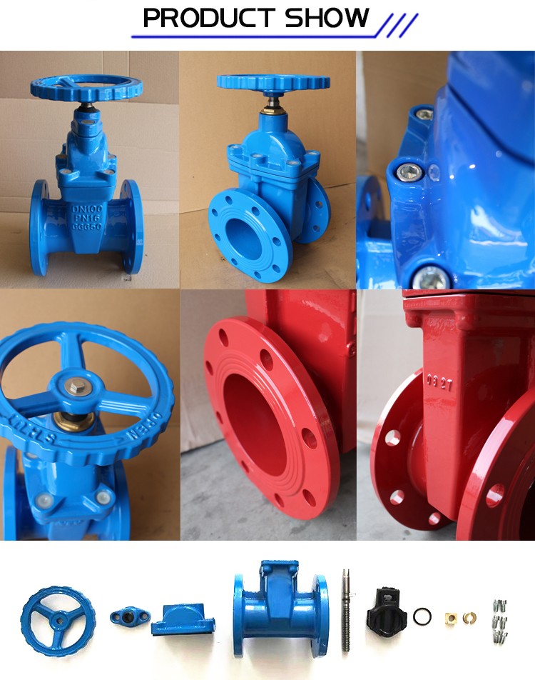 Rising Stem Gate Valve