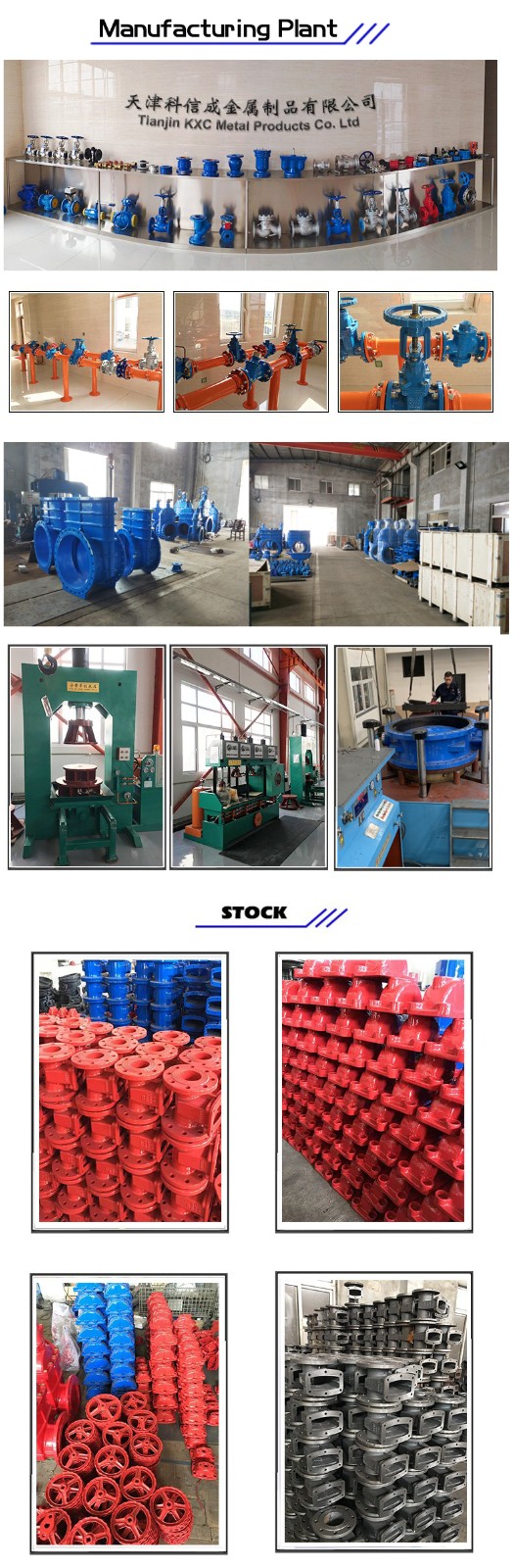 Rising Stem Gate Valve