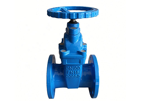 DIN flange cast iron gate valve