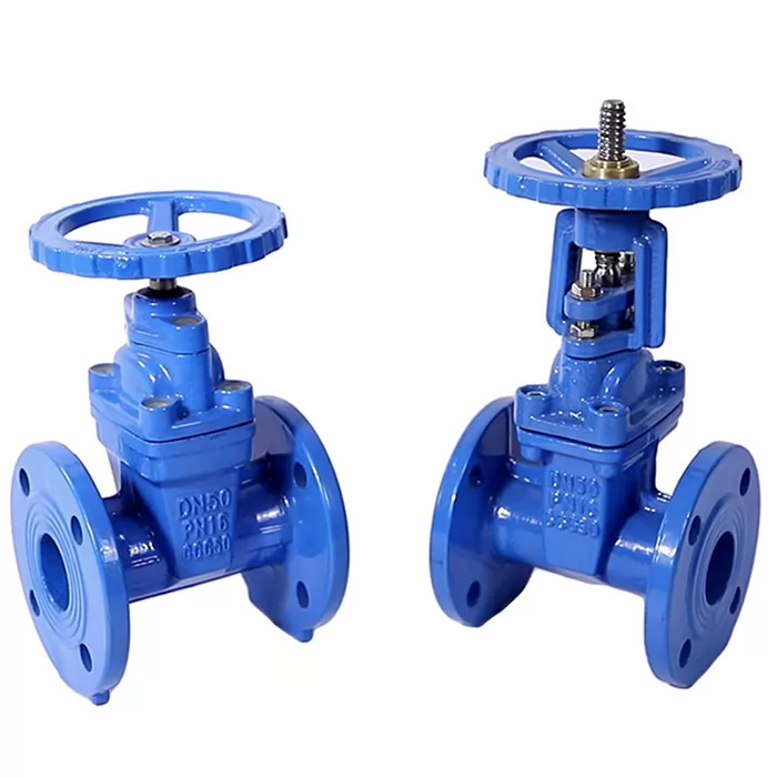 K1 Resilient Seat Gate Valve