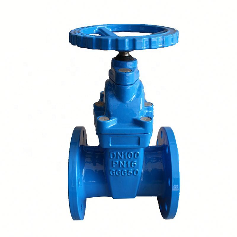 DIN flange cast iron gate valve