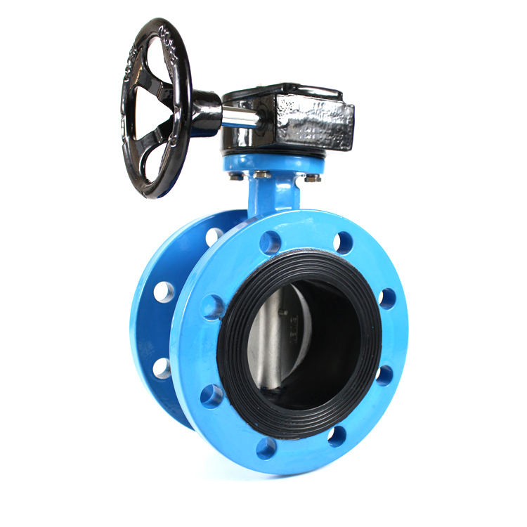 Worm Gear Flange Butterfly Valve