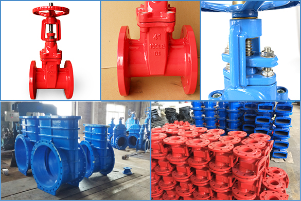 Rising Stem Gate Valve Detail / Feature / Application