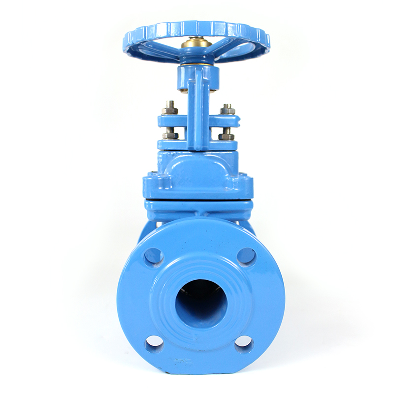 Resilient DI Seat PN10 Gate Valve