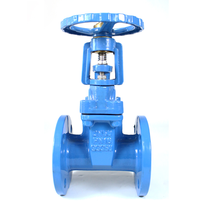 K102 Rising Stem Gate Valve 