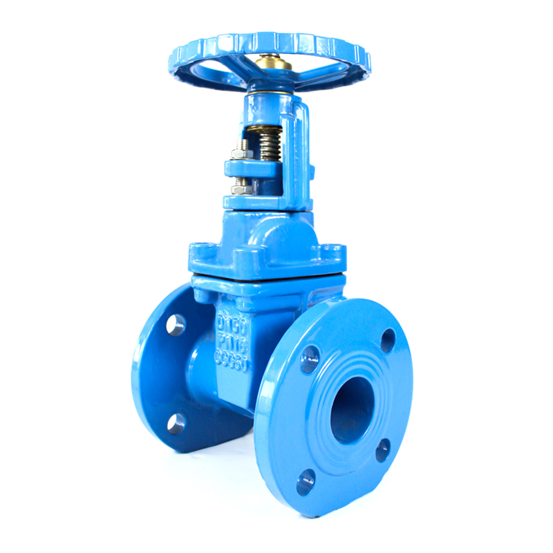 Rising Stem Gate Valve