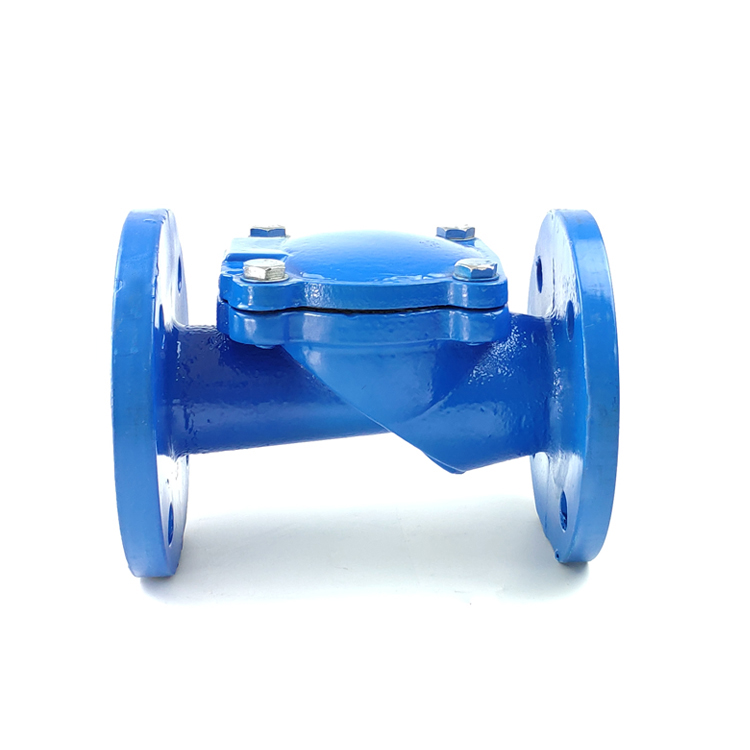 Rubber Flap Check Valve