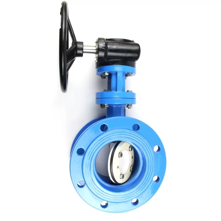 Double offset Butterfly Valve