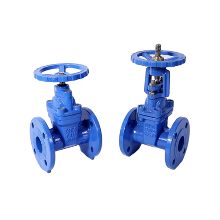 Resilient Seat Gate Valve