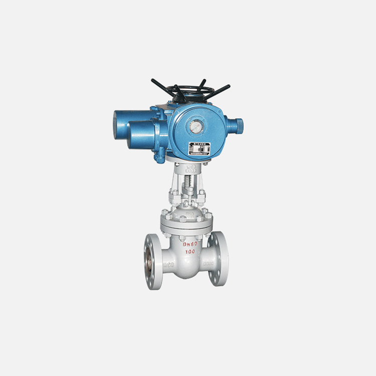 Electric Stainless Steel Gate Valve 