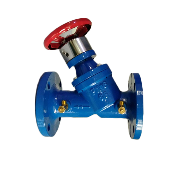 Digital Balancing Valve