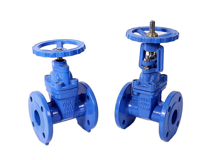What are the General Requirements for Resilient Seated Gate Valves?