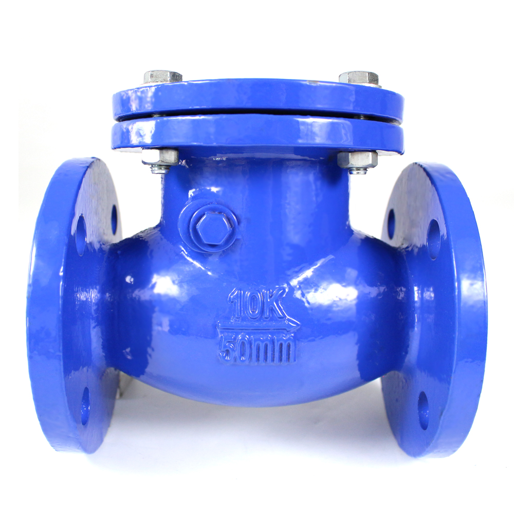 Swing Check Valve