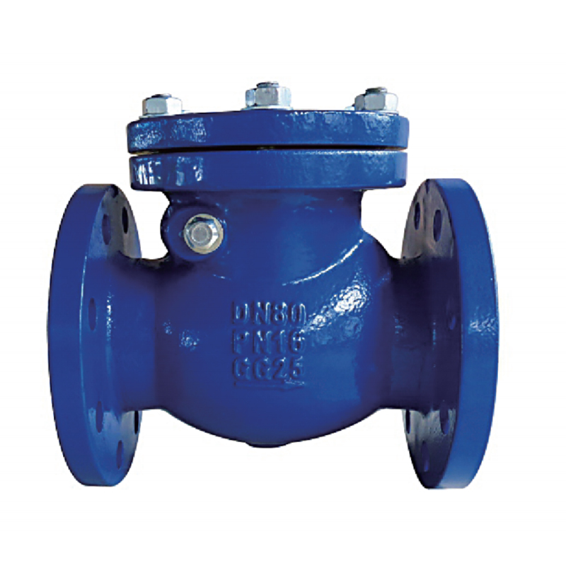 BS Swing Check Valve