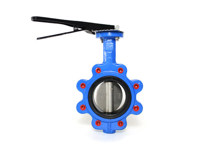 What is the Structure of the Lug Butterfly Valve?