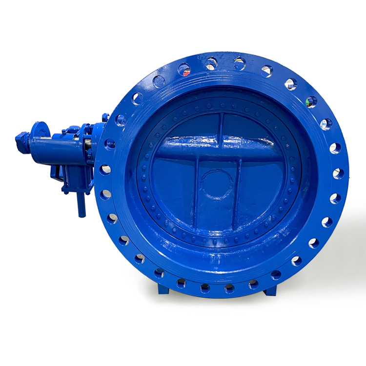 Eccentric Butterfly Tilting Check Valve