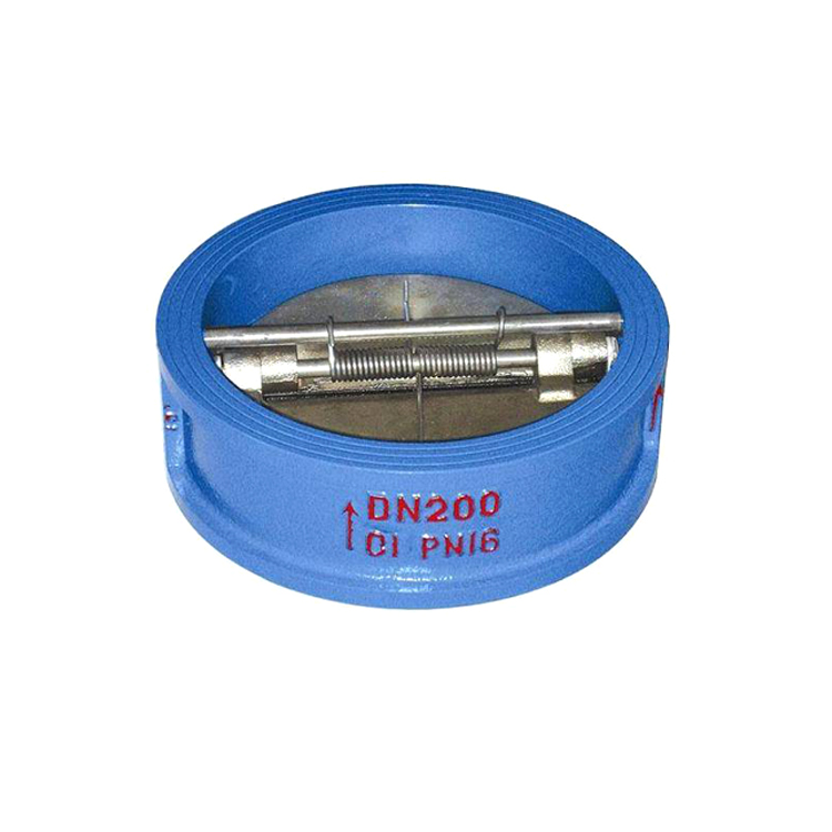 DN200 Check Valve