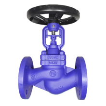 Difference between globe valve and other valves