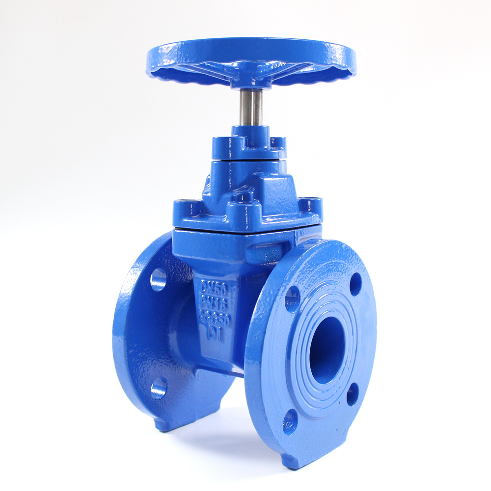 nrs gate valve