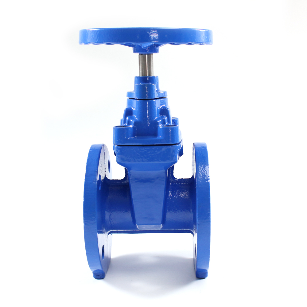 cast iron gate valve