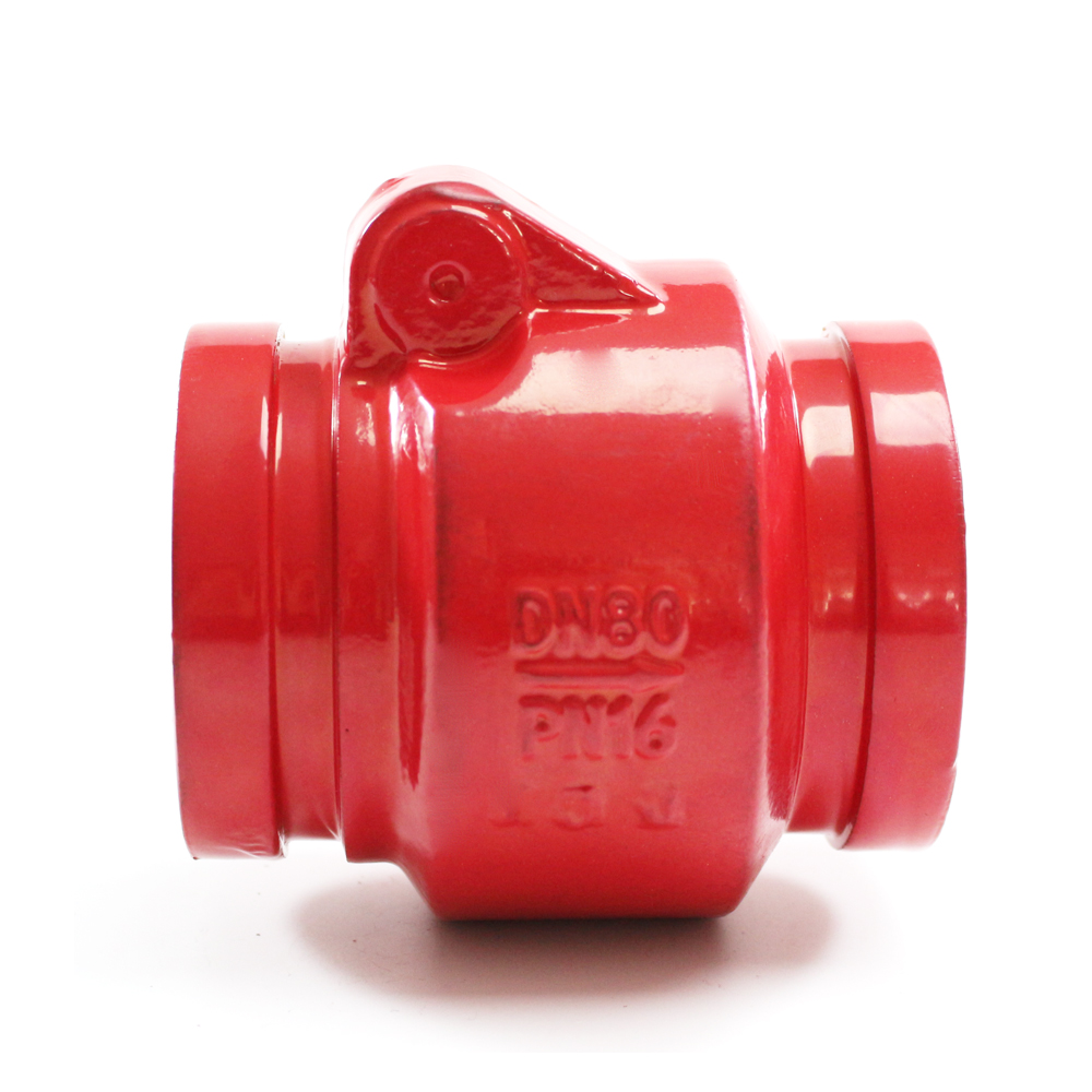 Grooved Single Disc Door Swing Type Check Valve