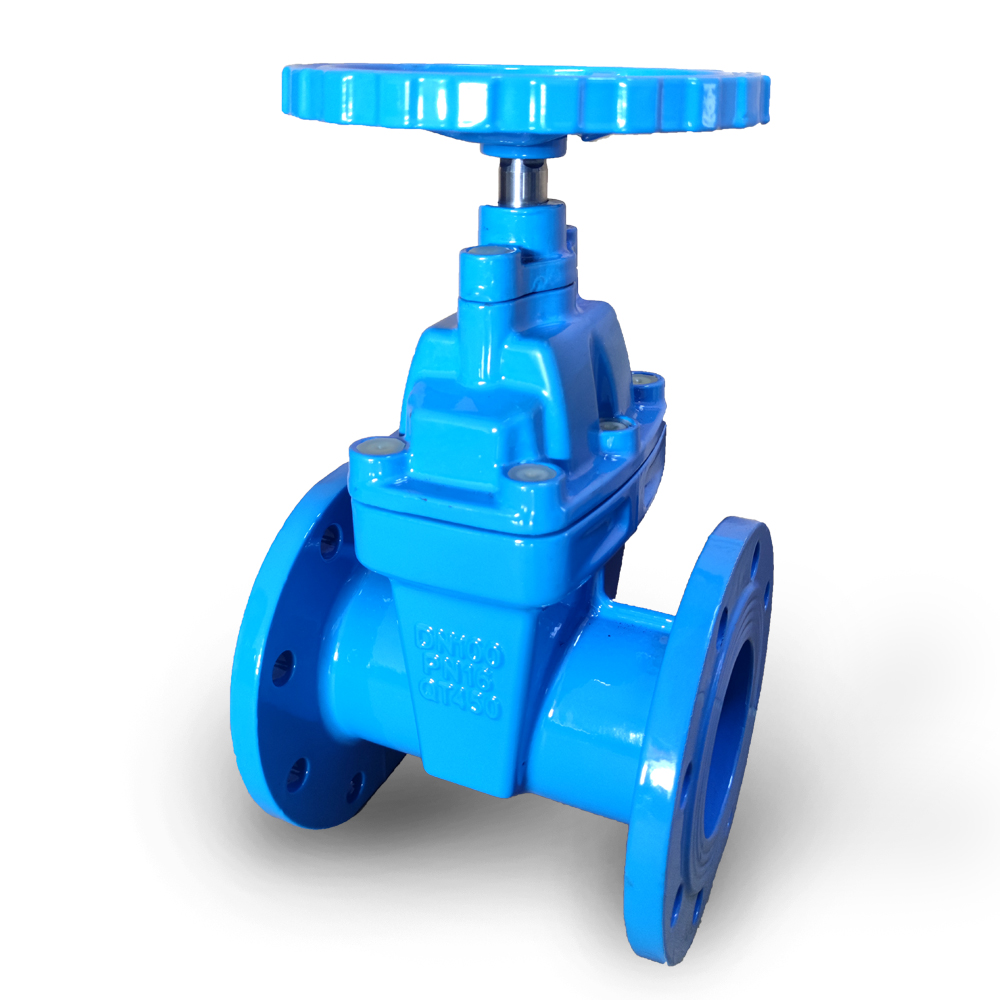 Resilient Wedge Gate Valve