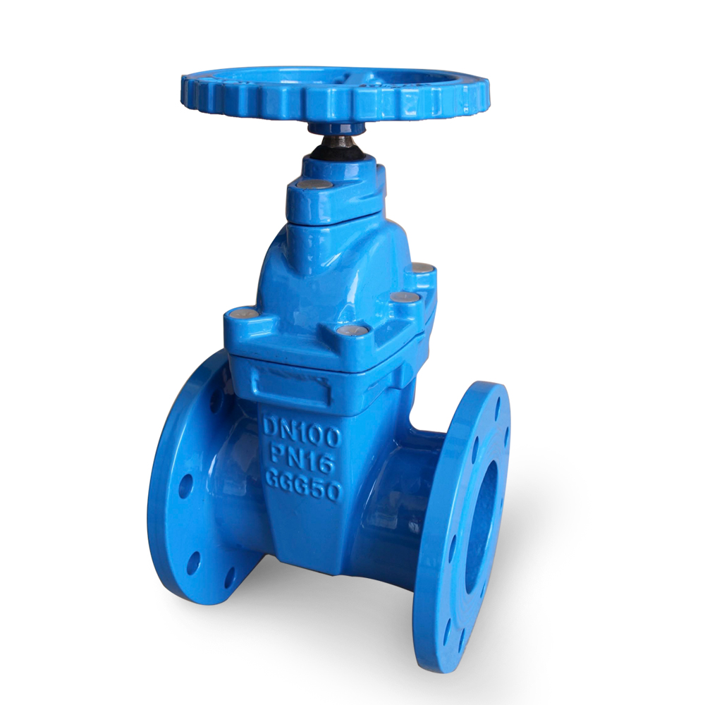 BS5163 Ductile Iron Resilient wedge Seat Flange Gate Valve 