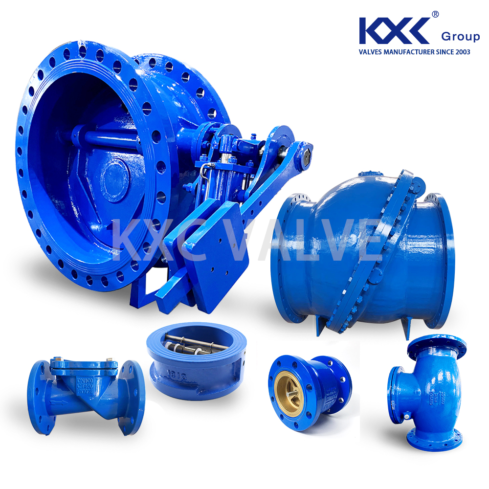 Detailed explanation of check valve