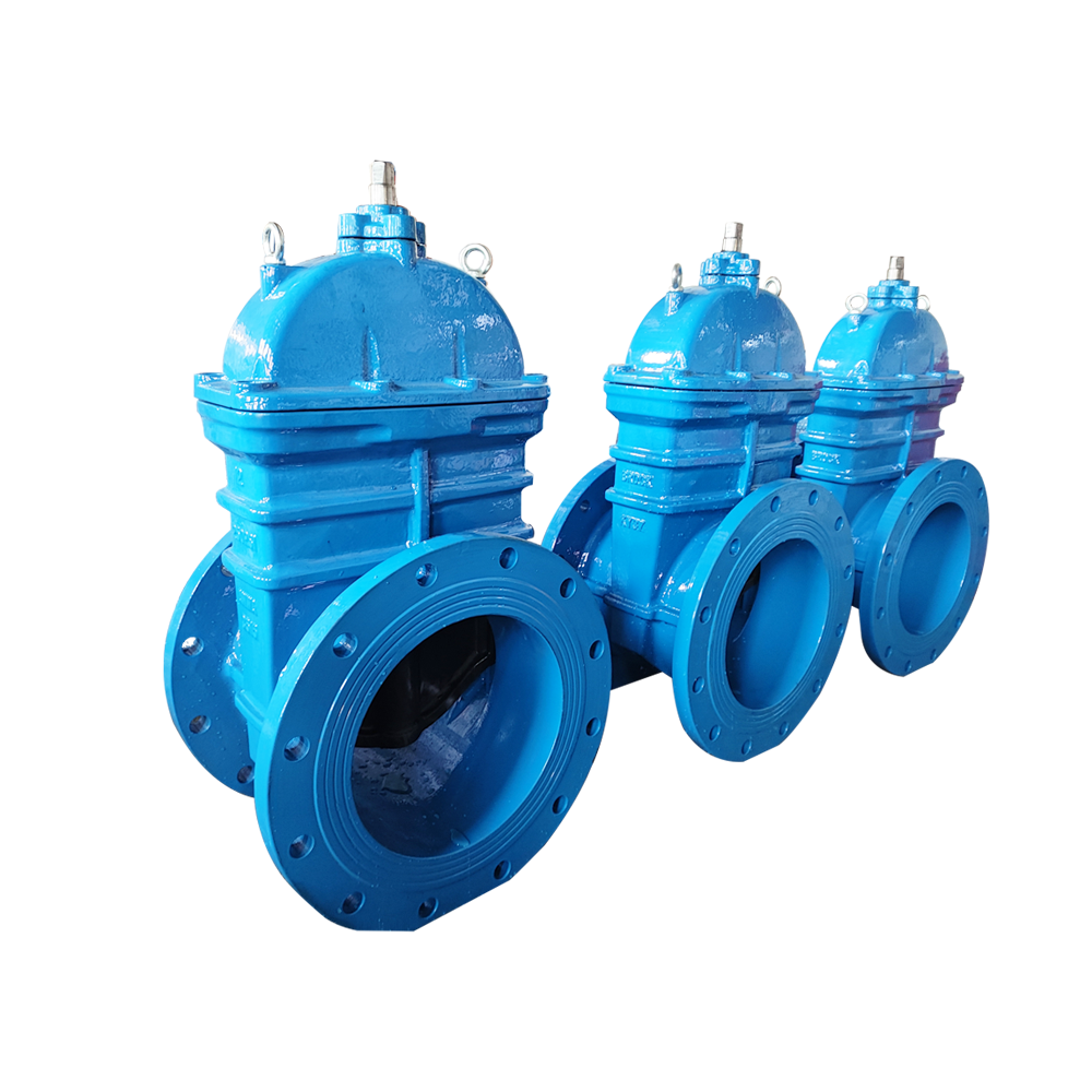 Resilient Seated Gate Valve Detail / Feature / Application