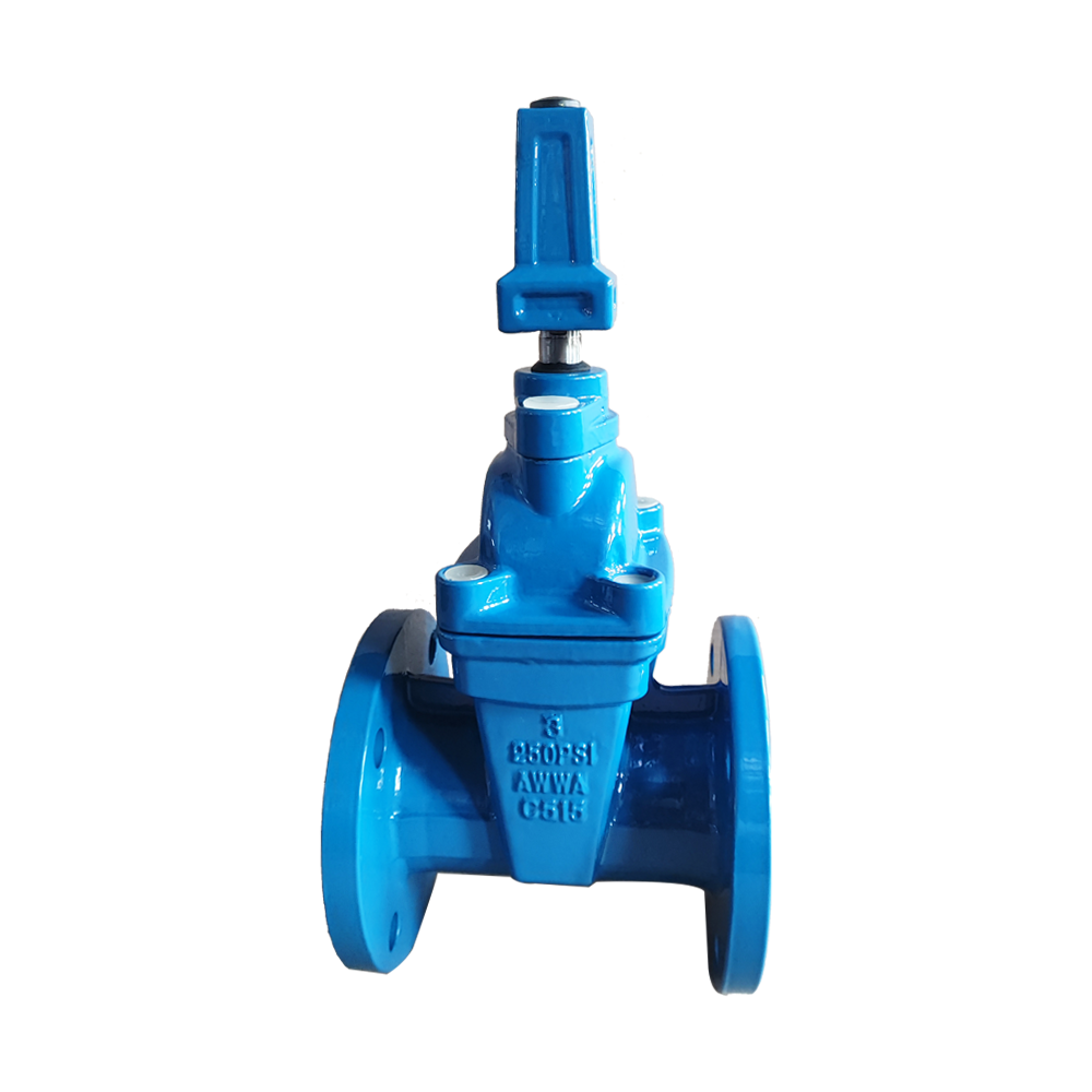 Resilient seat gate valve 