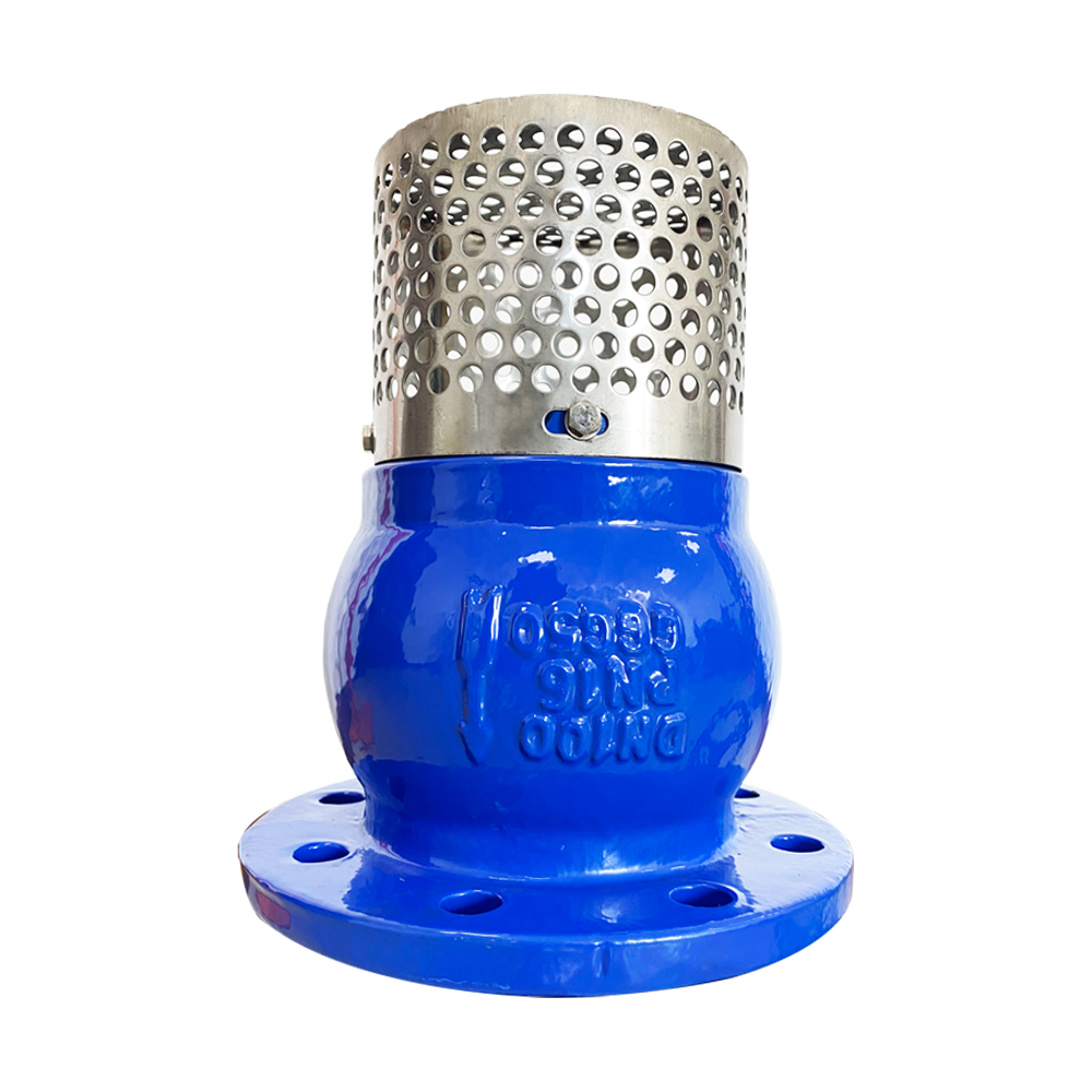 ANSI DN50-DN300 Filte Blue Cast Iron Flanged Foot Valve