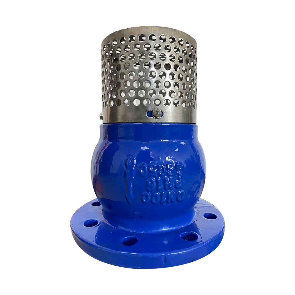 Blue Flanged Foot Valve