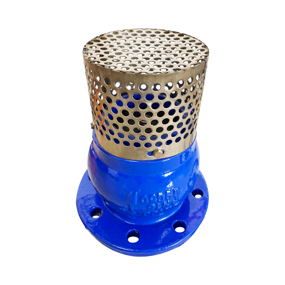 Blue Flanged Foot Valve