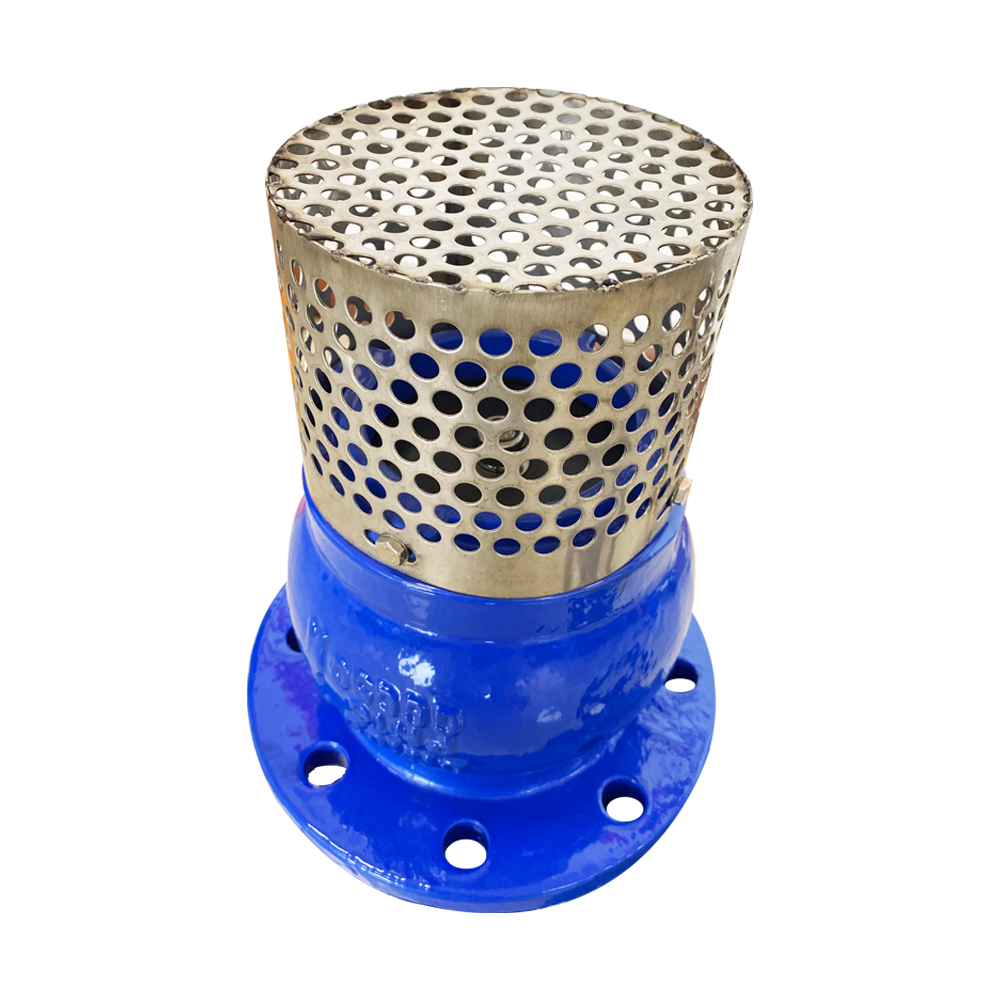 Blue Flanged Foot Valve