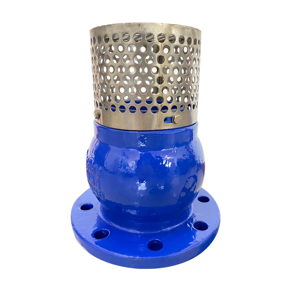 Blue Flanged Foot Valve