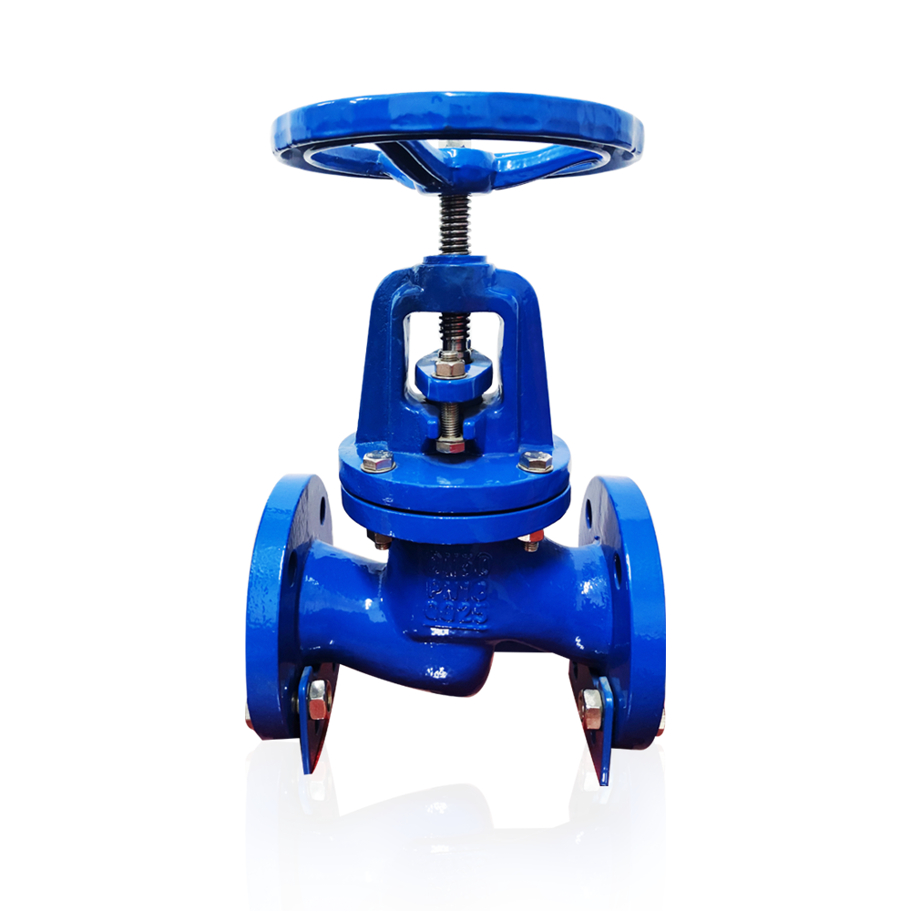 flanged globe valve